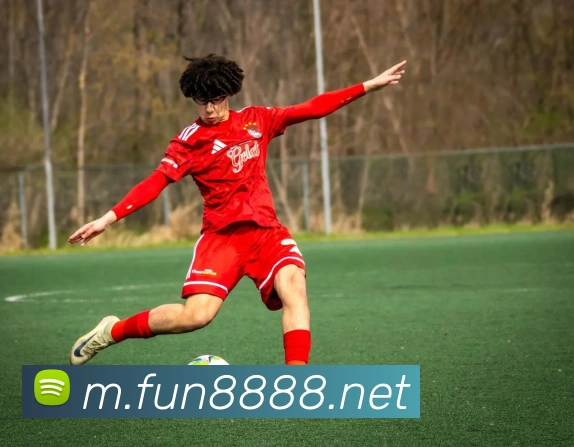 fun88乐天堂平台生态图